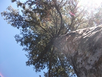 rrente Quarantore-20110911 029